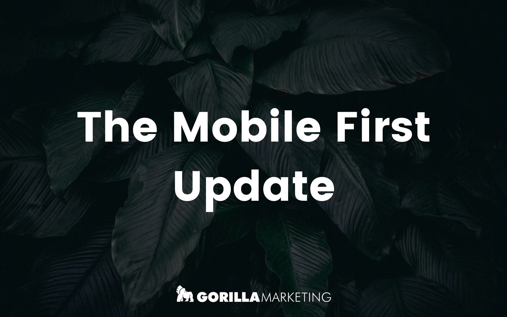 Mobile First Update