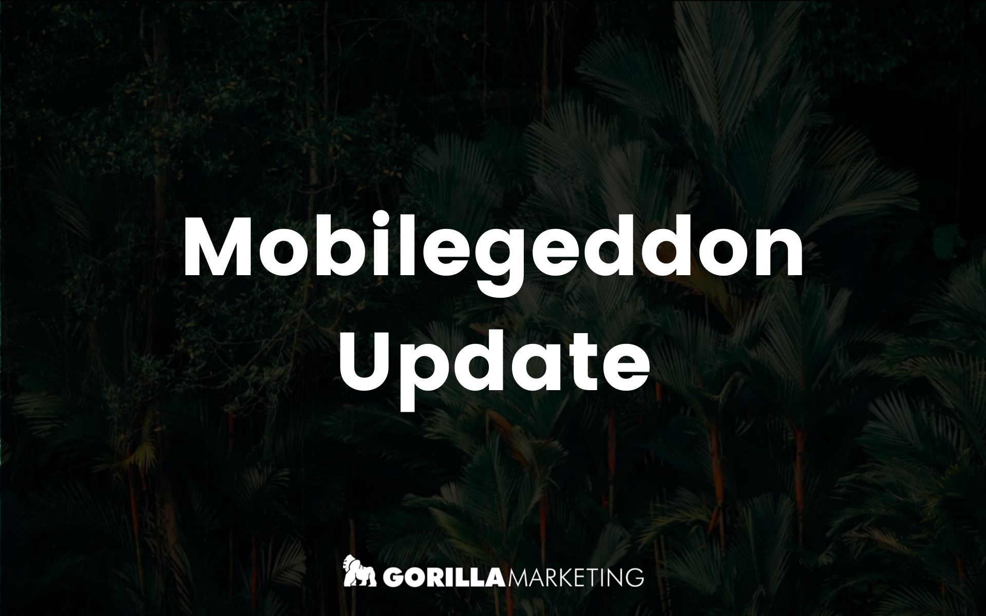 Mobilegeddon Update