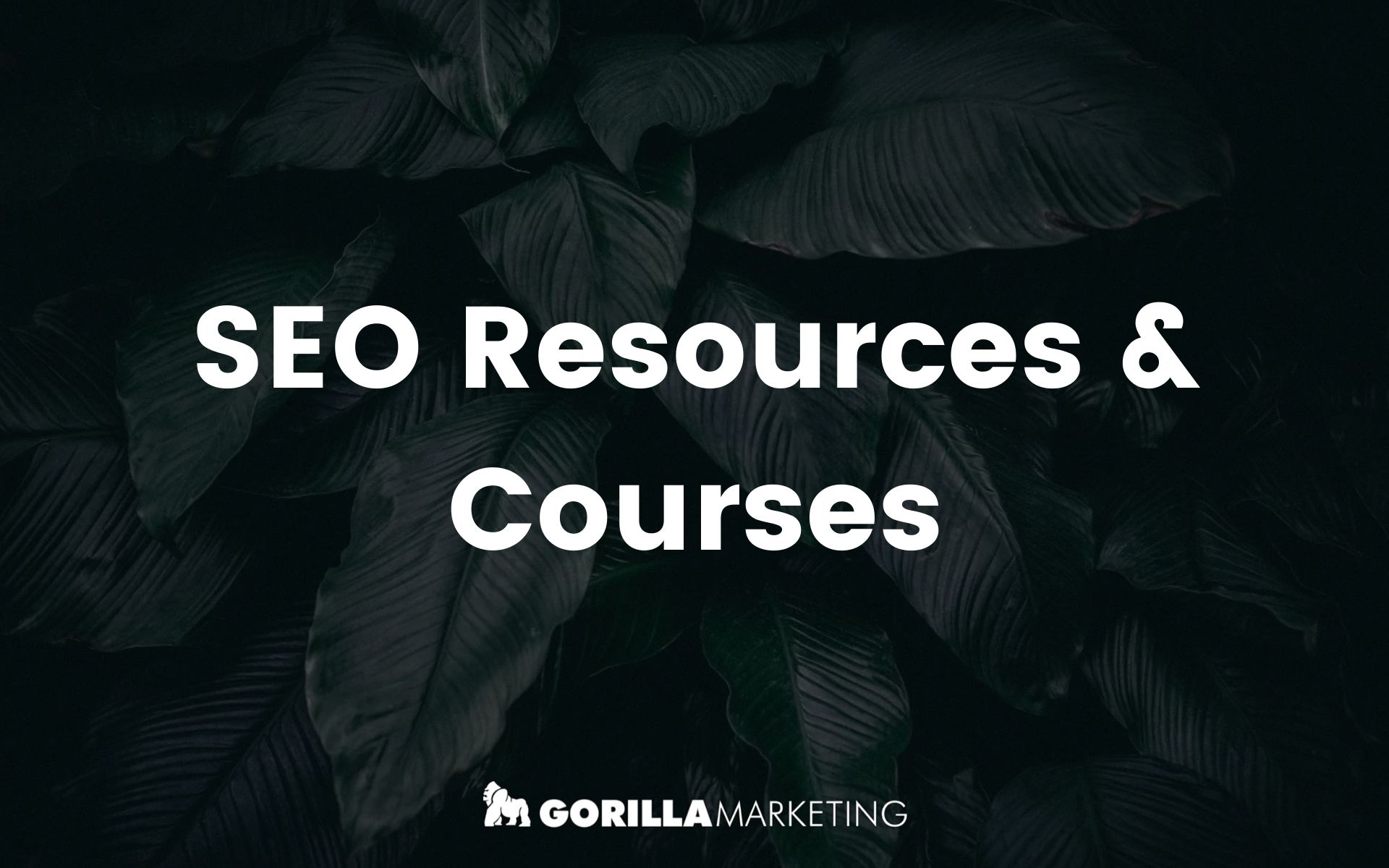 SEO Resources and Courses