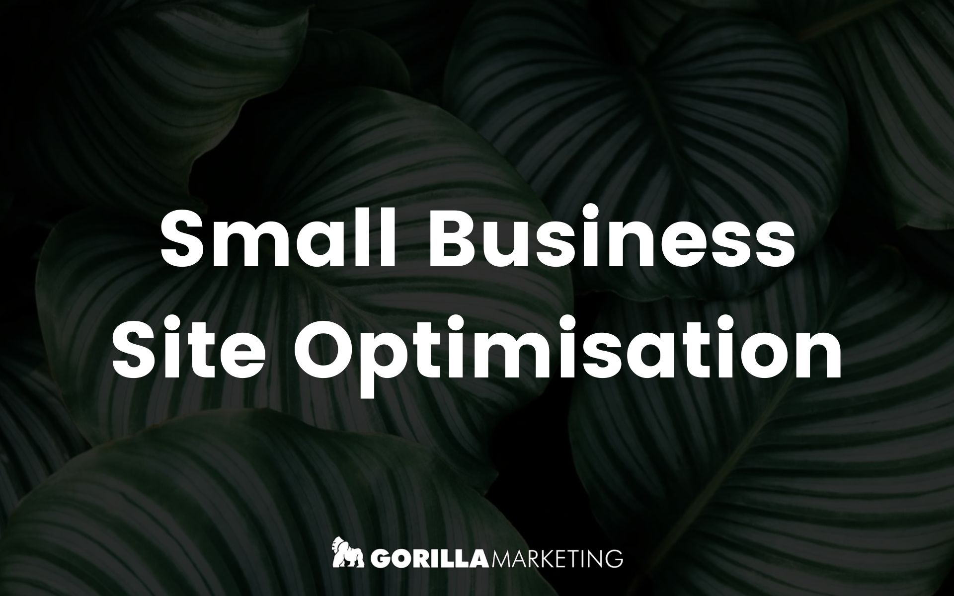 Optimising Your On-Page SEO - A Simple Guide for Small Business Owners