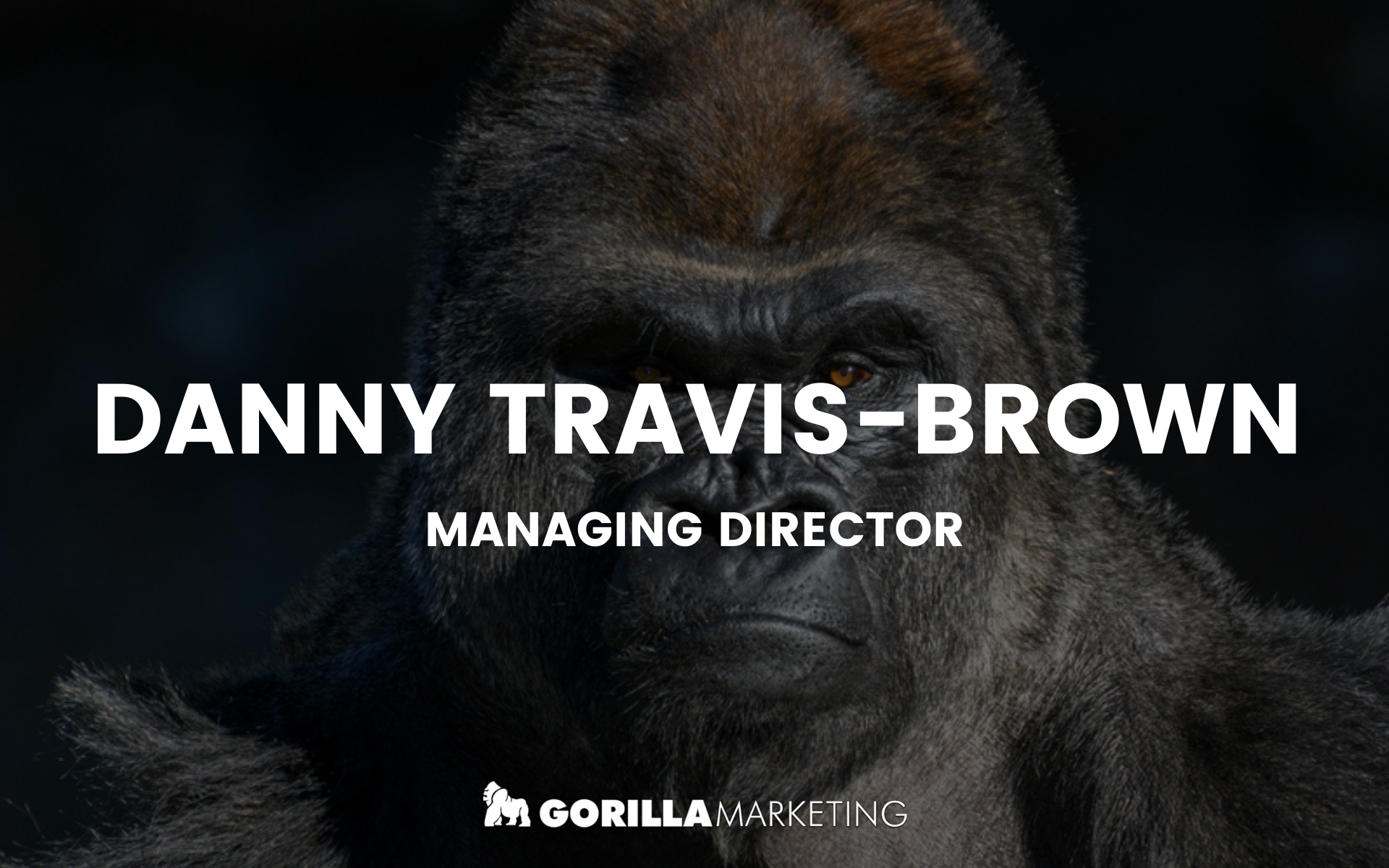 Gorilla Marketing SEO Team 3